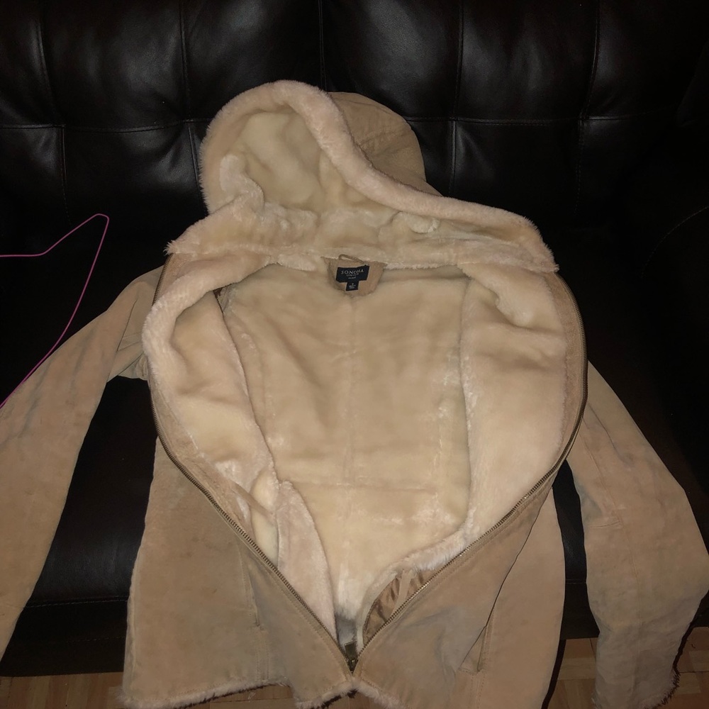 Caot - Picture 4 of 5